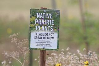 native prairie plants sign