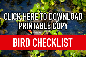 Bird Checklist from Cullinan Park