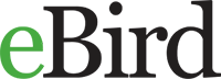 eBird logo