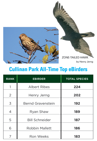 eBirder Rankings