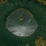water on lily pad