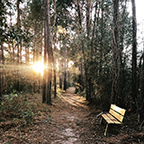 Cullinan Park bench at sunset